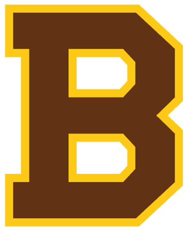 NHL North East Divisions Boston Bruins NHL Logo fom 1932 - 1933 large