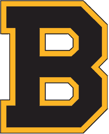 NHL North East Divisions Boston Bruins NHL Logo fom 1934 - 1938 large