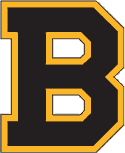 NHL North East Divisions Boston Bruins NHL Logo fom 1934 - 1938 thumbnail