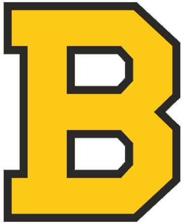 boston bruins logo 2011. Boston Bruins NHL Logo fom