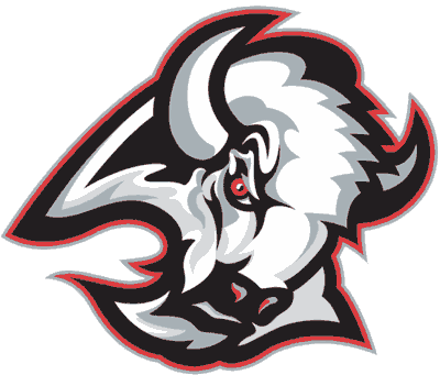 NHL North East Divisions Buffalo Sabres NHL Logo fom 1997 - 2006 large