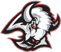 NHL North East Divisions Buffalo Sabres Current NHL Logo 1997 - 2006